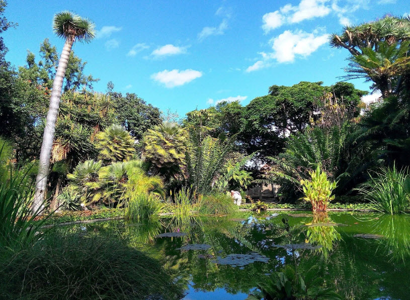 Botanical Garden, Spain